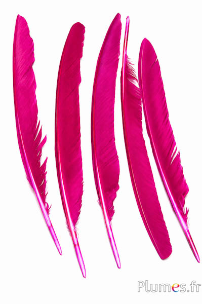 Pavone blu - 33-37 cm - fucsia-bruno 